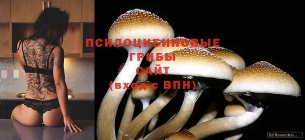 гашишное масло Майский